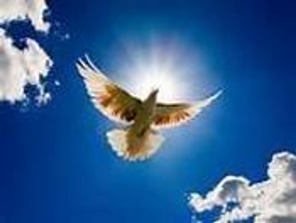 Cole, Kathryn 'Kathy' A.