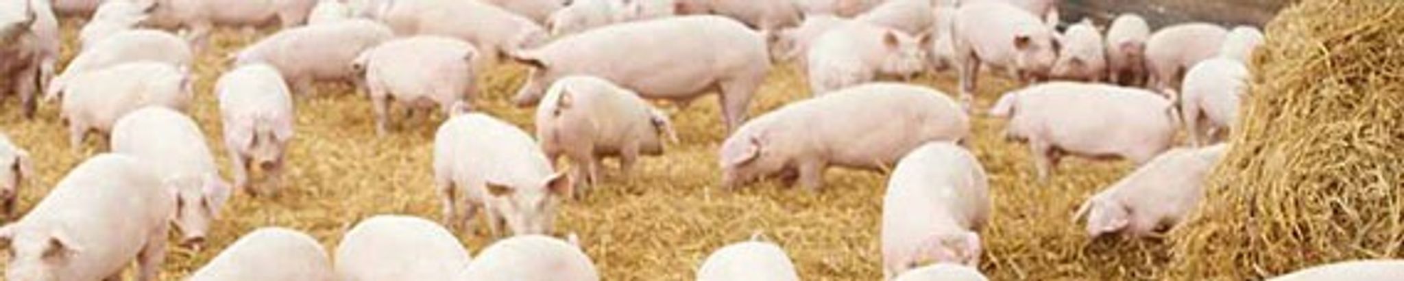 Cover for Gary Robert Machan's Obituary