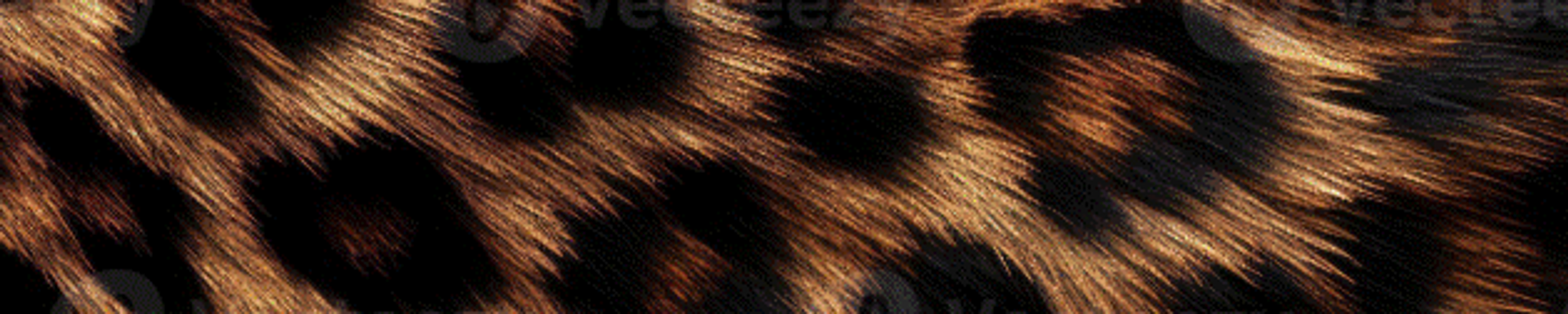 Cover for Jaime Leigh Tyler's Obituary