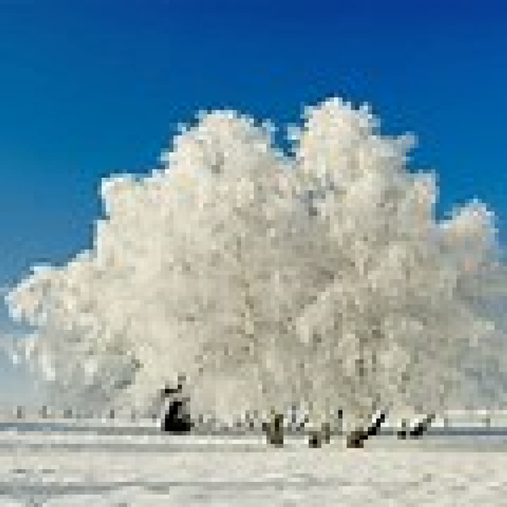 William Brian Zook, Sr. Profile Photo