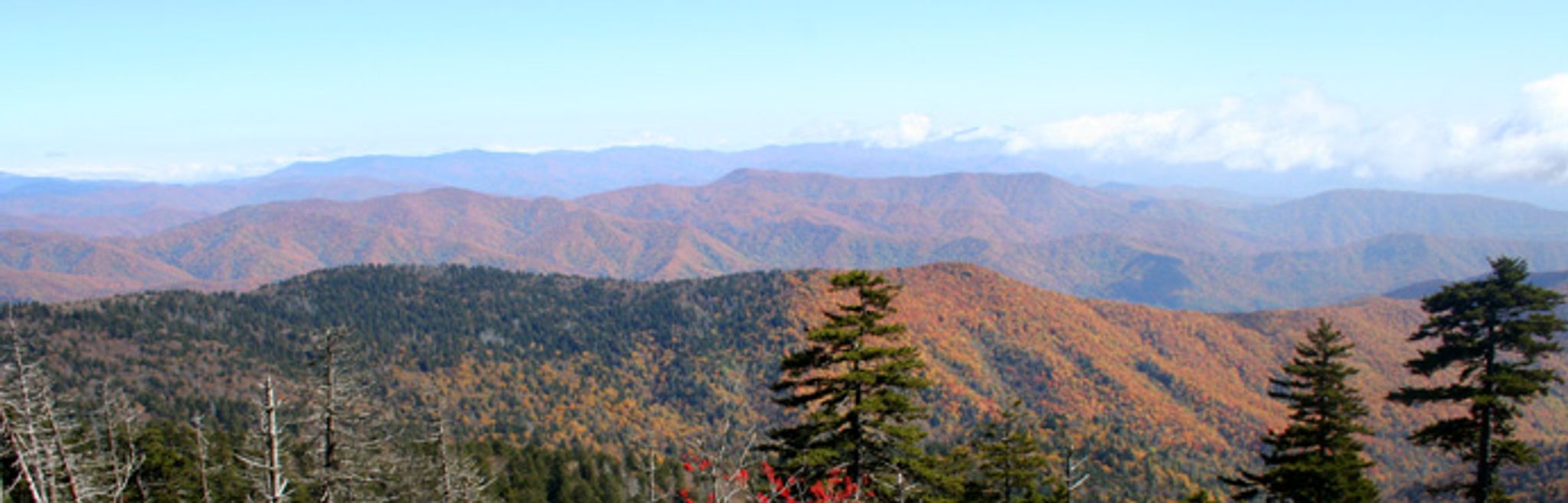 Cover photo for Betty Oswalt's Obituary