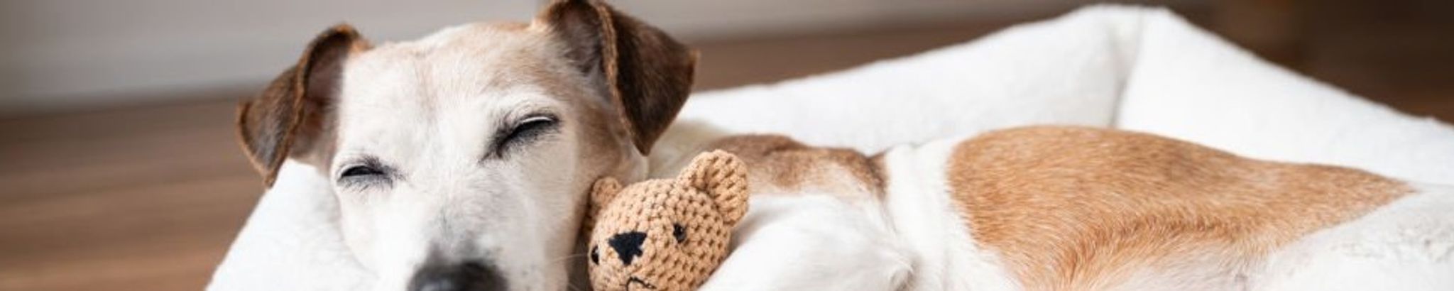 Cover for Sandra Joan (Sandi) Fairhurst's Obituary