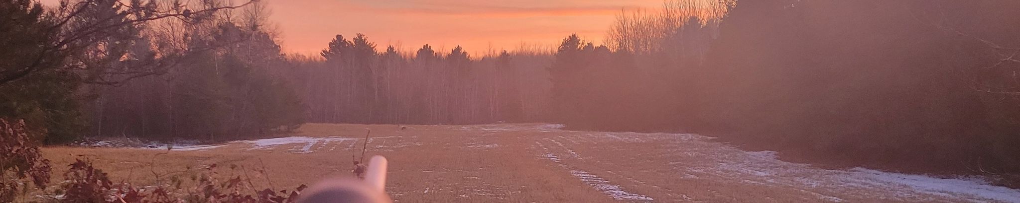 Cover for Jack Ralph Diethert's Obituary