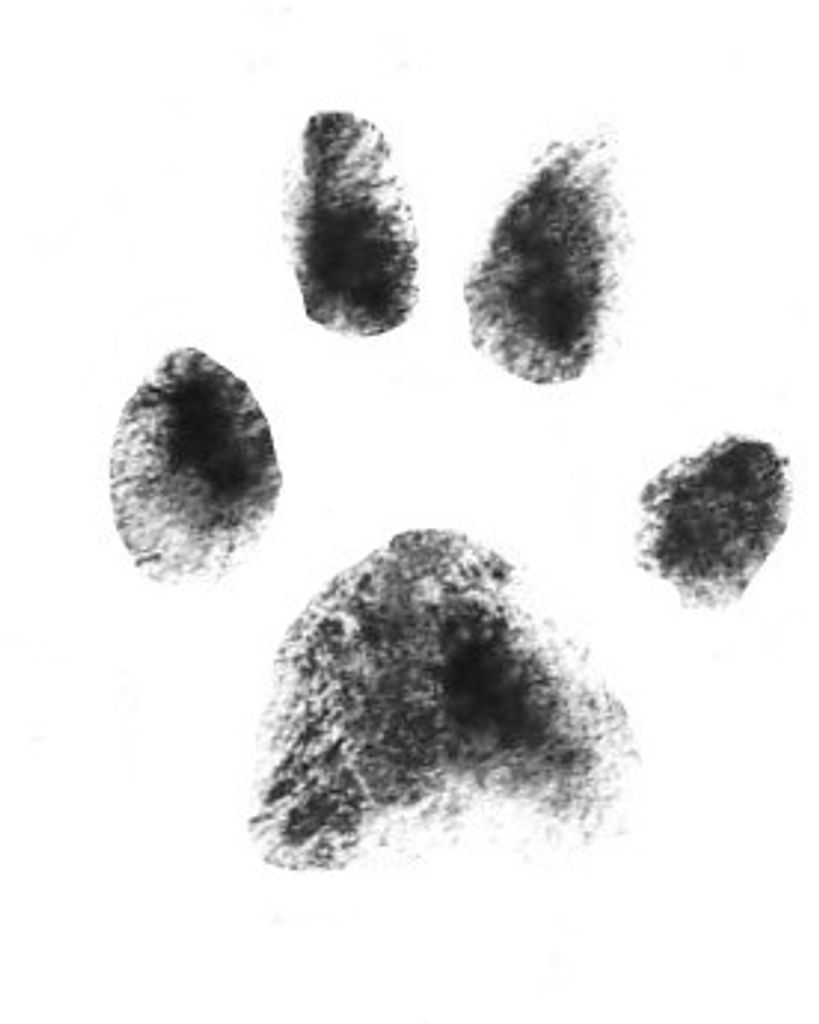 Izzy Watts Profile Photo