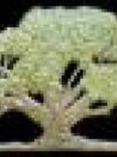 Michael  John Young Profile Photo