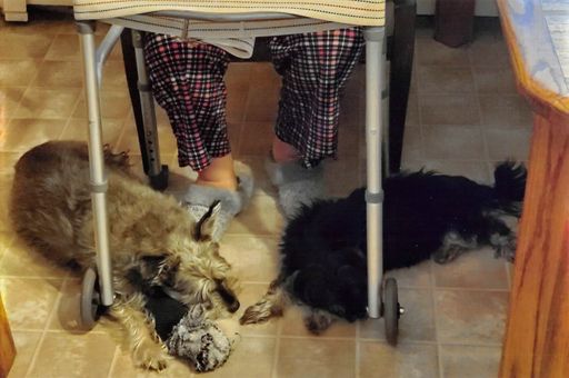 Barbara Kaufman photo 6