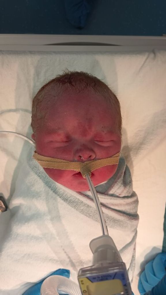 Isaac Asher Dorough Profile Photo