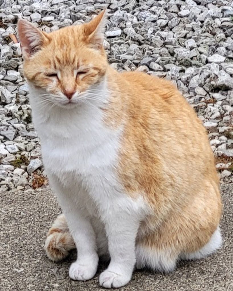 Franklin "Cheesers" Oliver Melroy Profile Photo