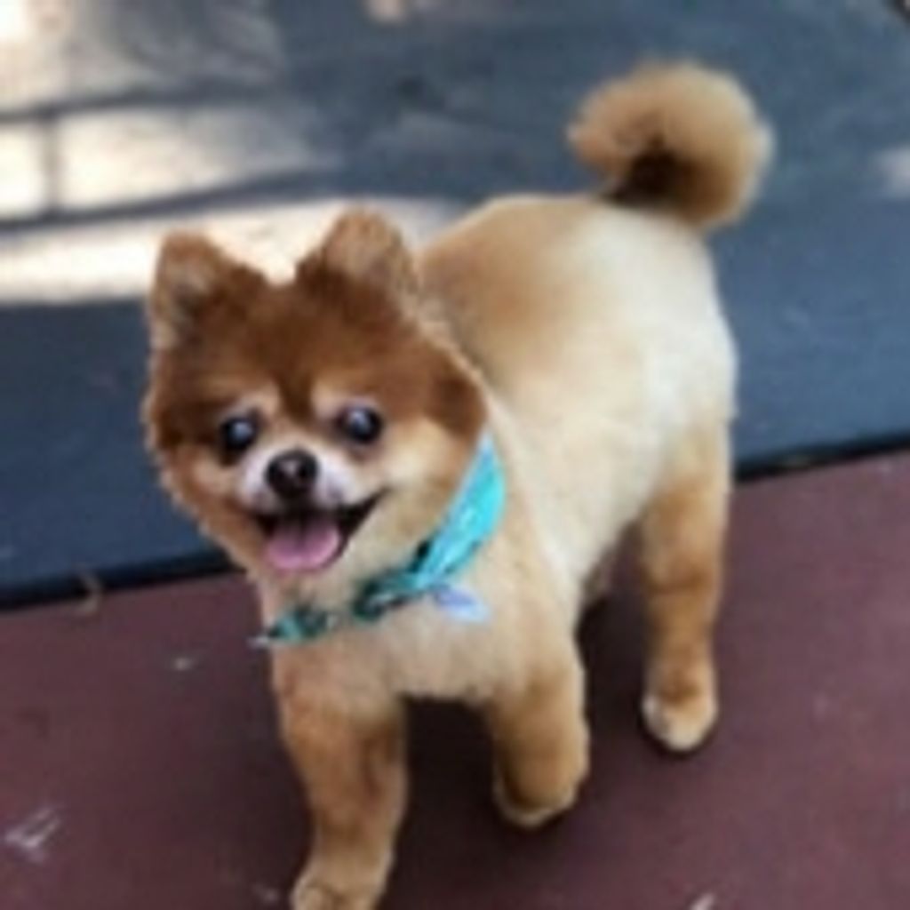 Cinnamon "Cinn-A-Man" Cashwell