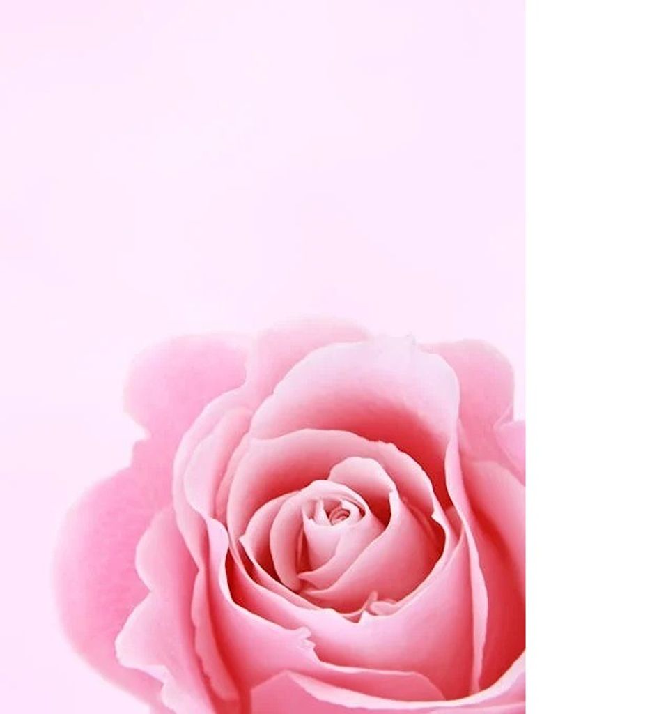 Delilah Mairs Profile Photo
