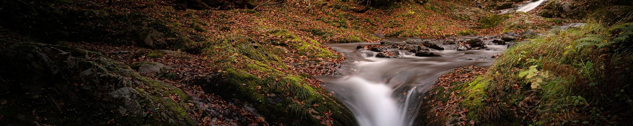 Cover for Lawrence David Jarvis's Obituary