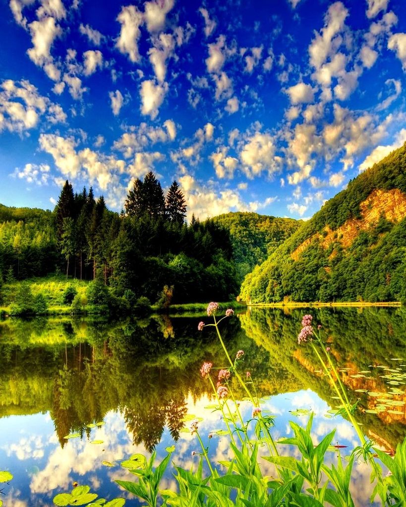 Mark Peters Profile Photo