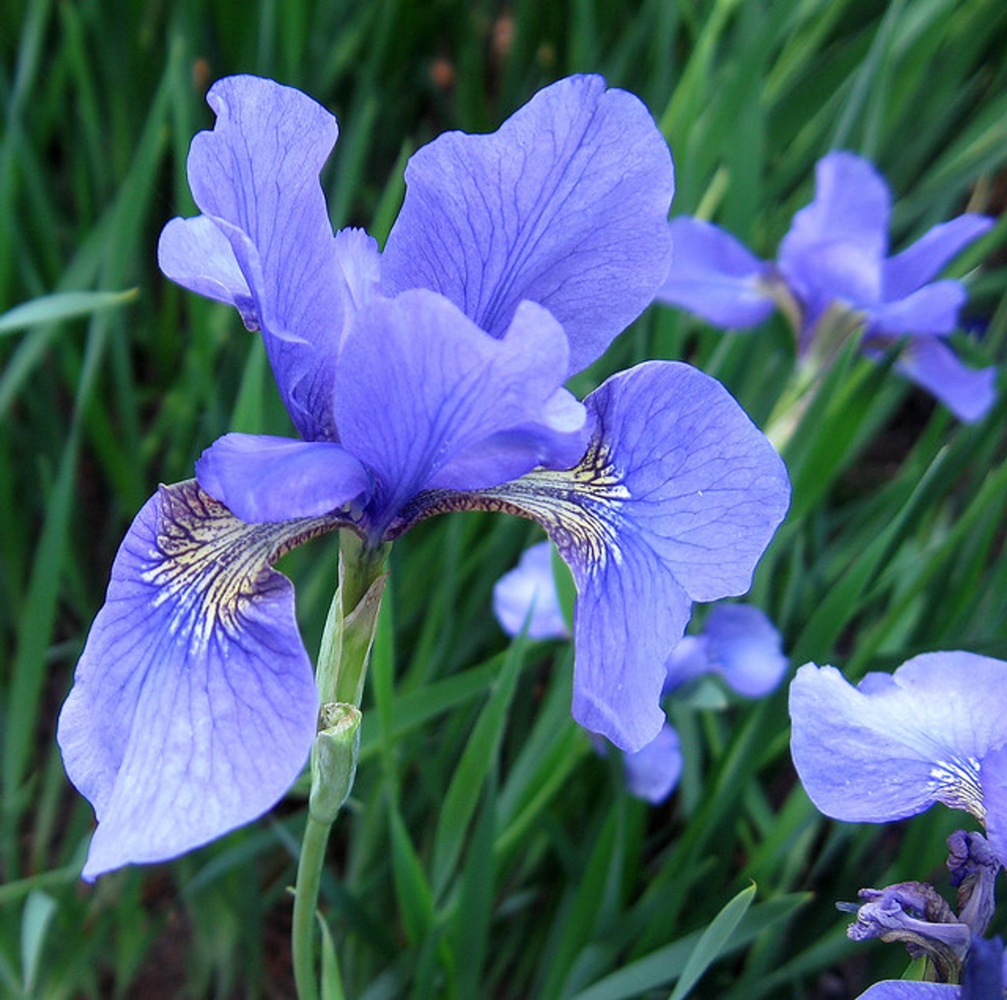 Cover photo for Mary Louise Schweikert's Obituary