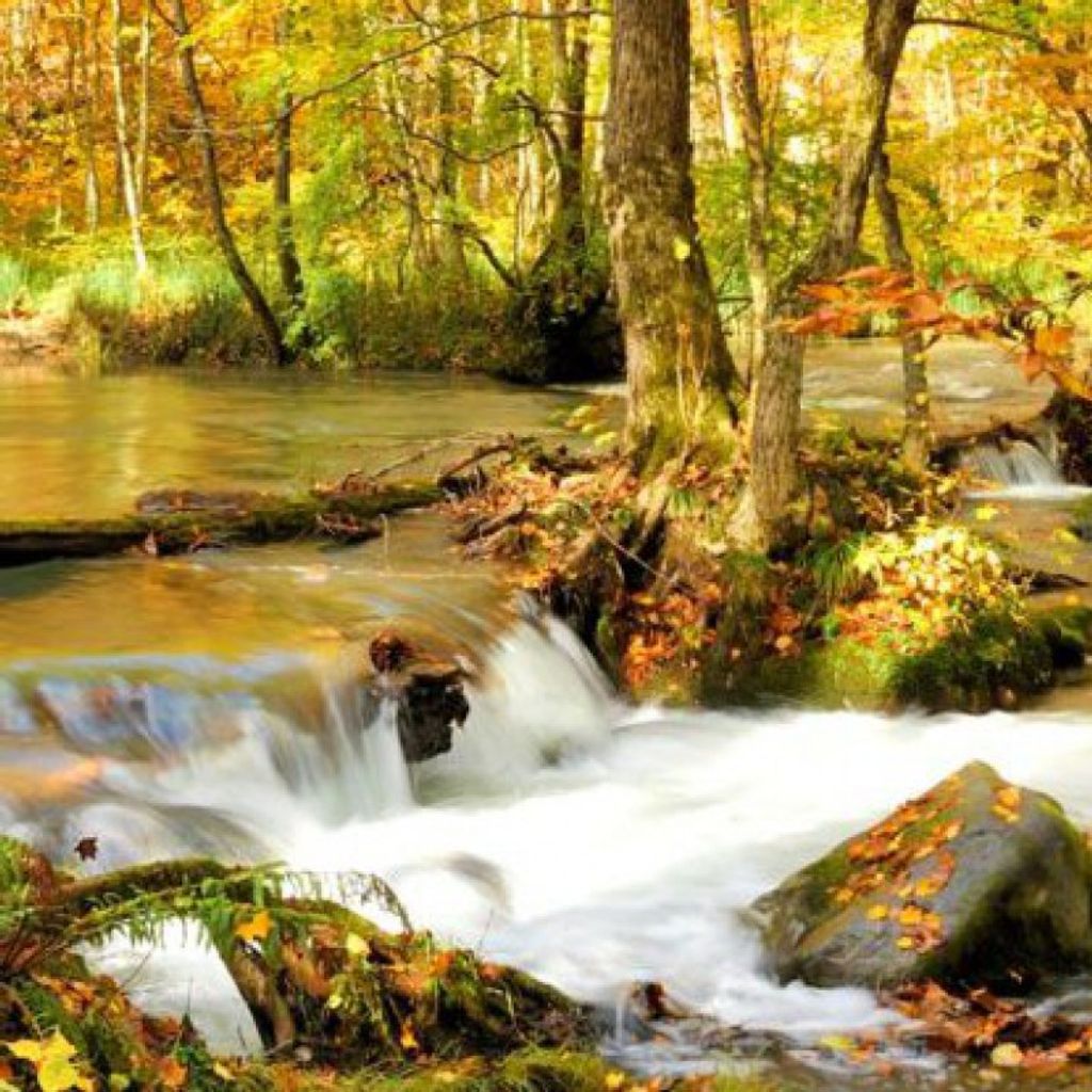 Thomas Wolfe Profile Photo