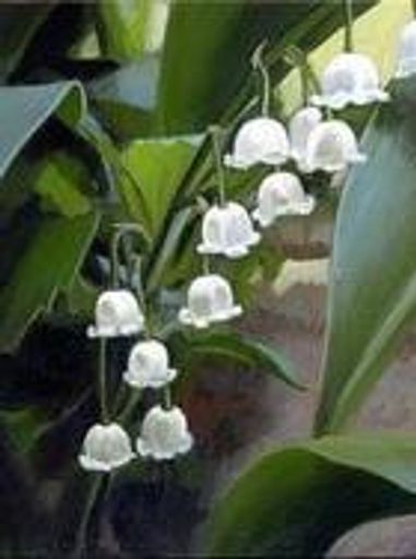 Marilyn Rodgers "Mollie" (Mcmurray)  Savard Profile Photo