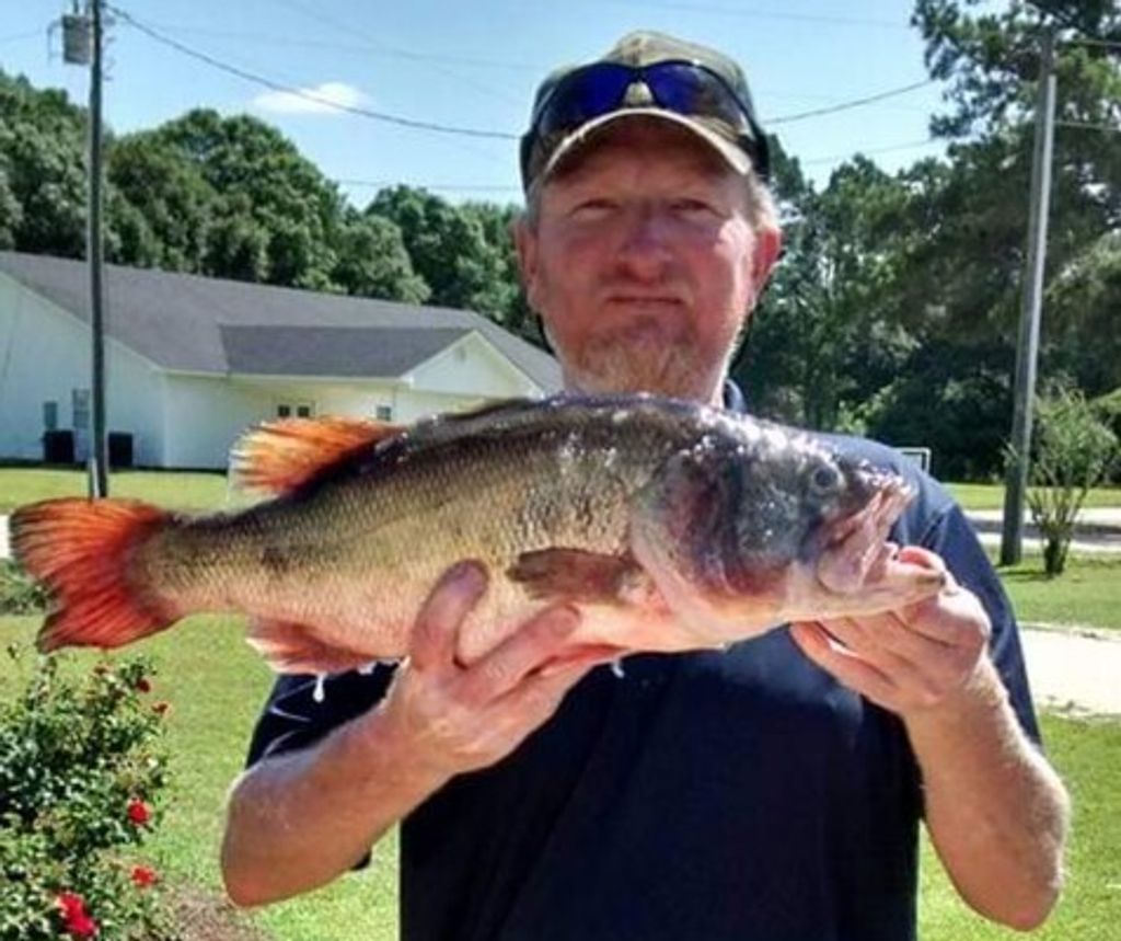 Michael Rhoden Profile Photo