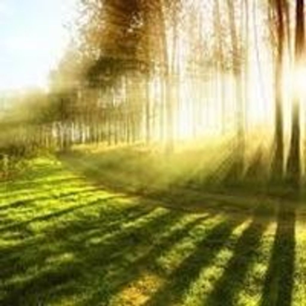 James "Jim" Michael Marshall