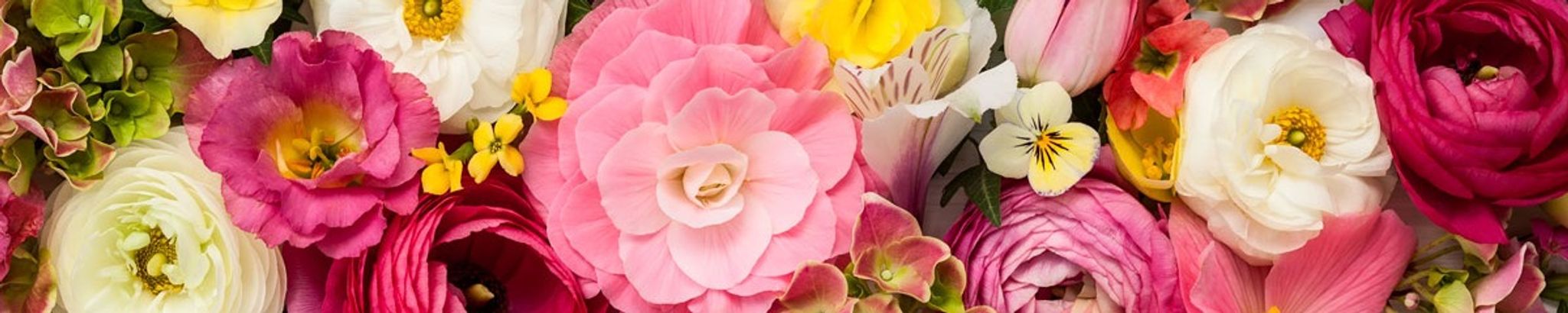 Cover photo for Carolyn Bass's Obituary