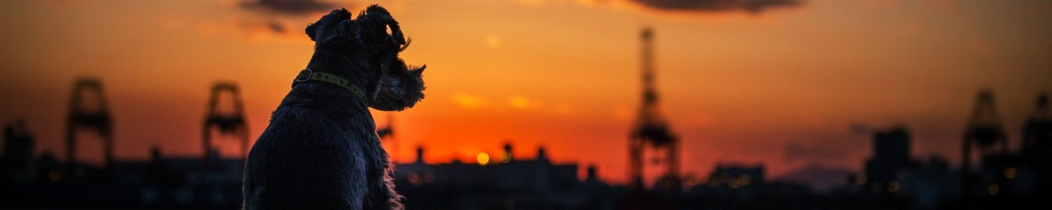 Cover for Taz Tarango's Obituary