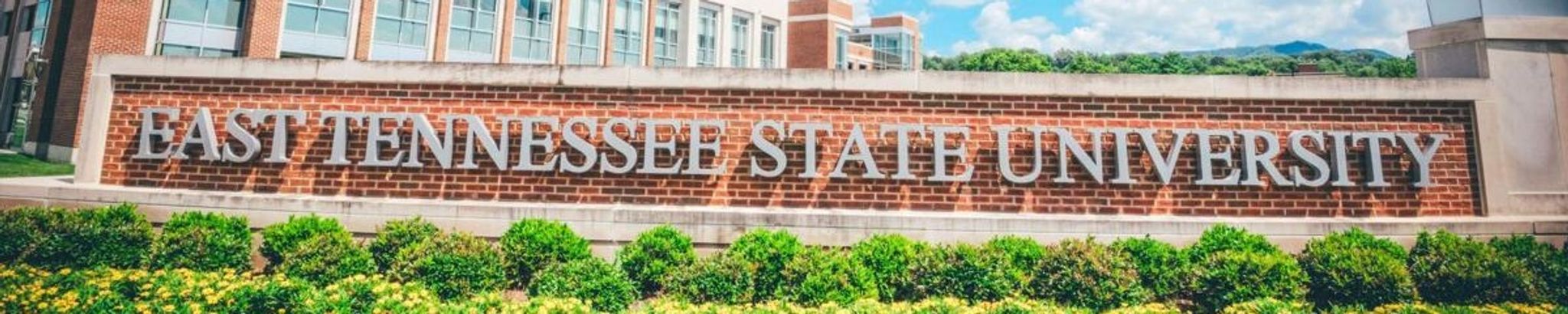 Cover for Cathy Lynn Whaley's Obituary