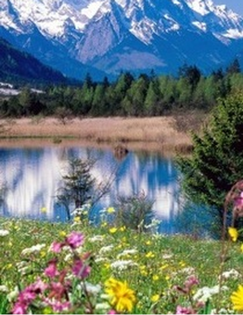 Mary Eleanor (Austin) Laffiteau