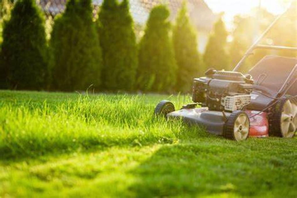 Mowing Notice Profile Photo