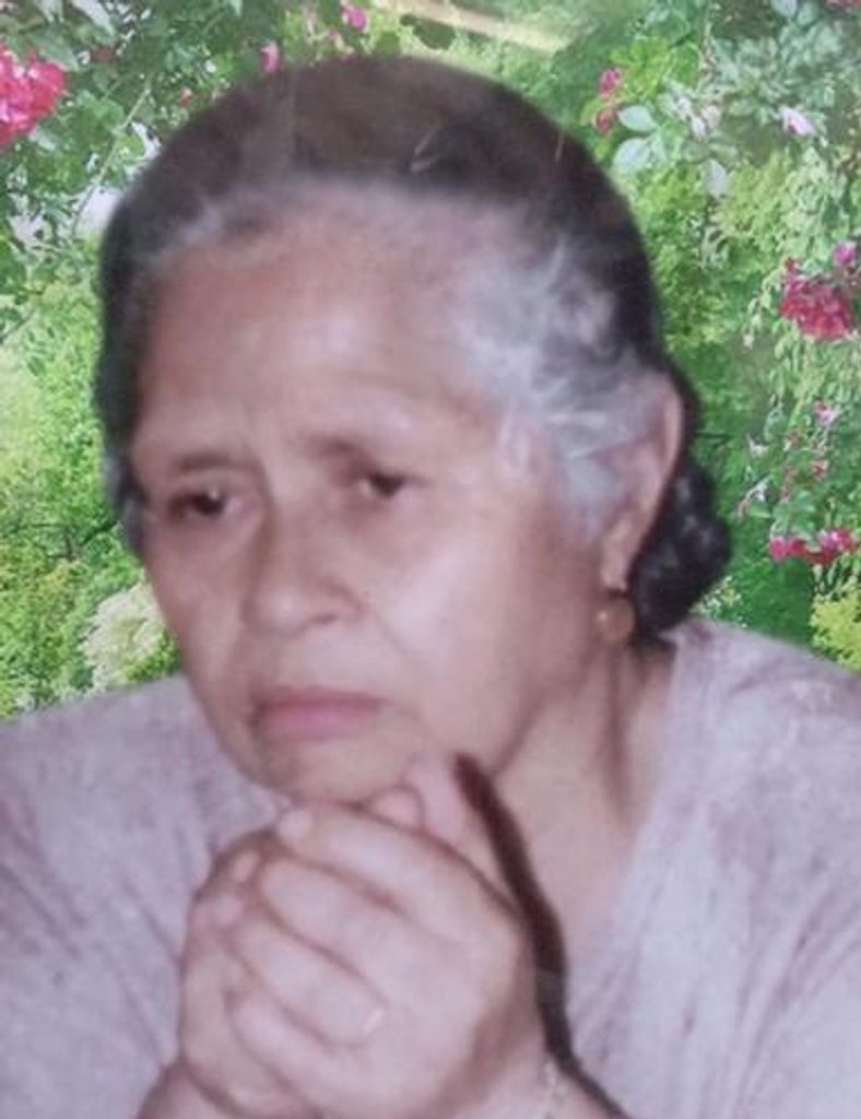 Ofelia Hernandez Jaime Profile Photo