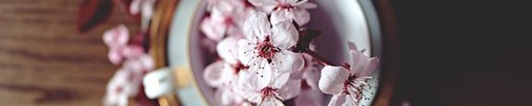 Cover photo for Janet M Stayer's Obituary