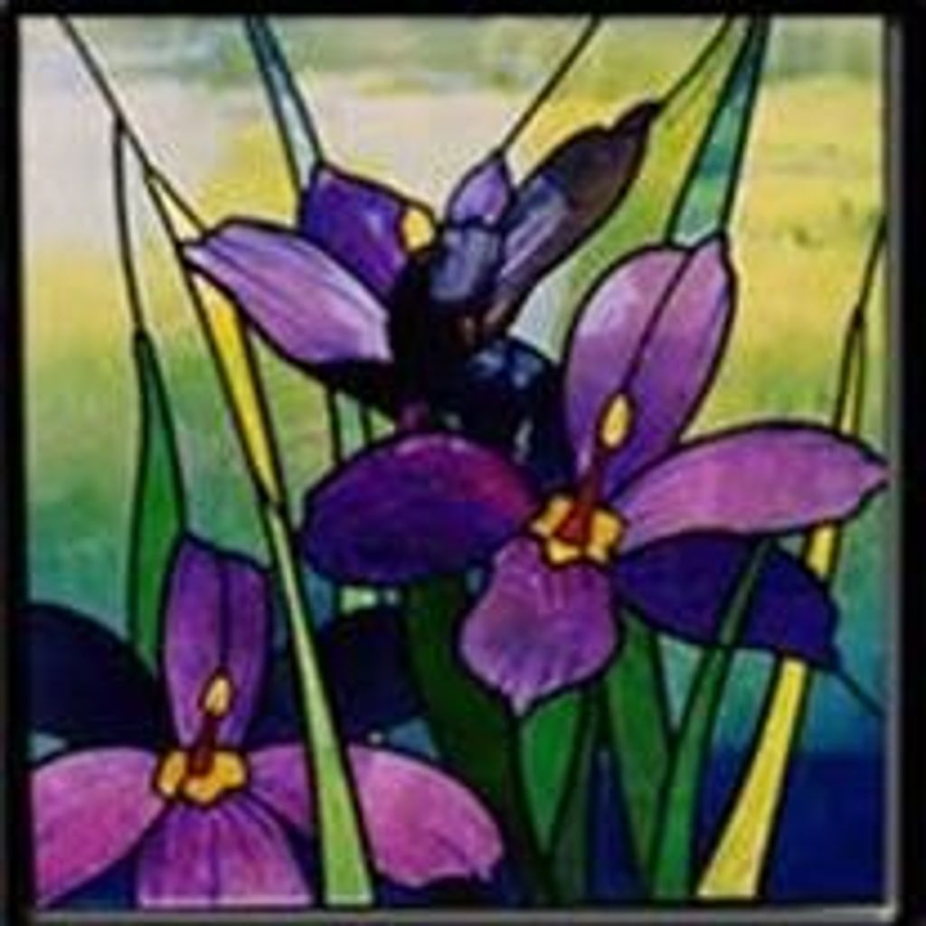 Carol Jolley Welch