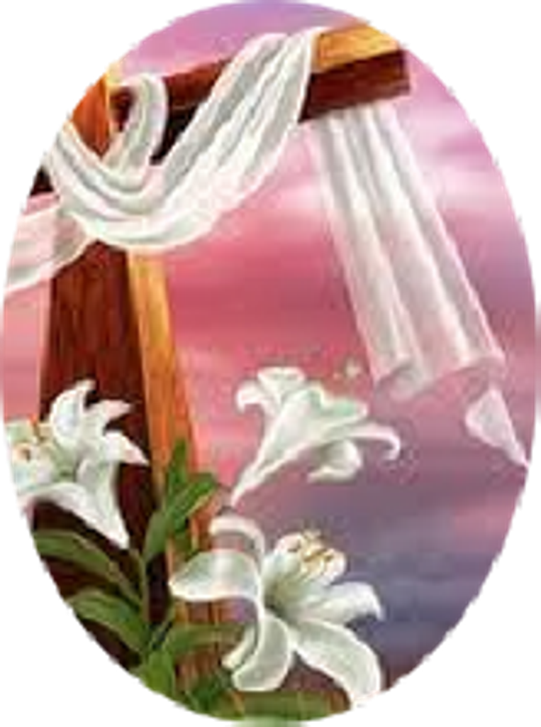 Maria Del Carmen 'Maria' Roman