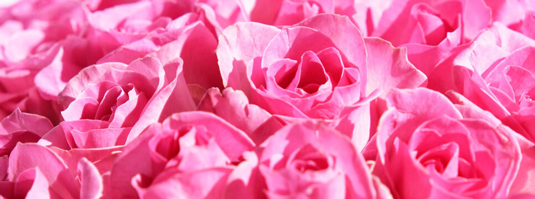 Cover photo for Mary Ann Welde's Obituary