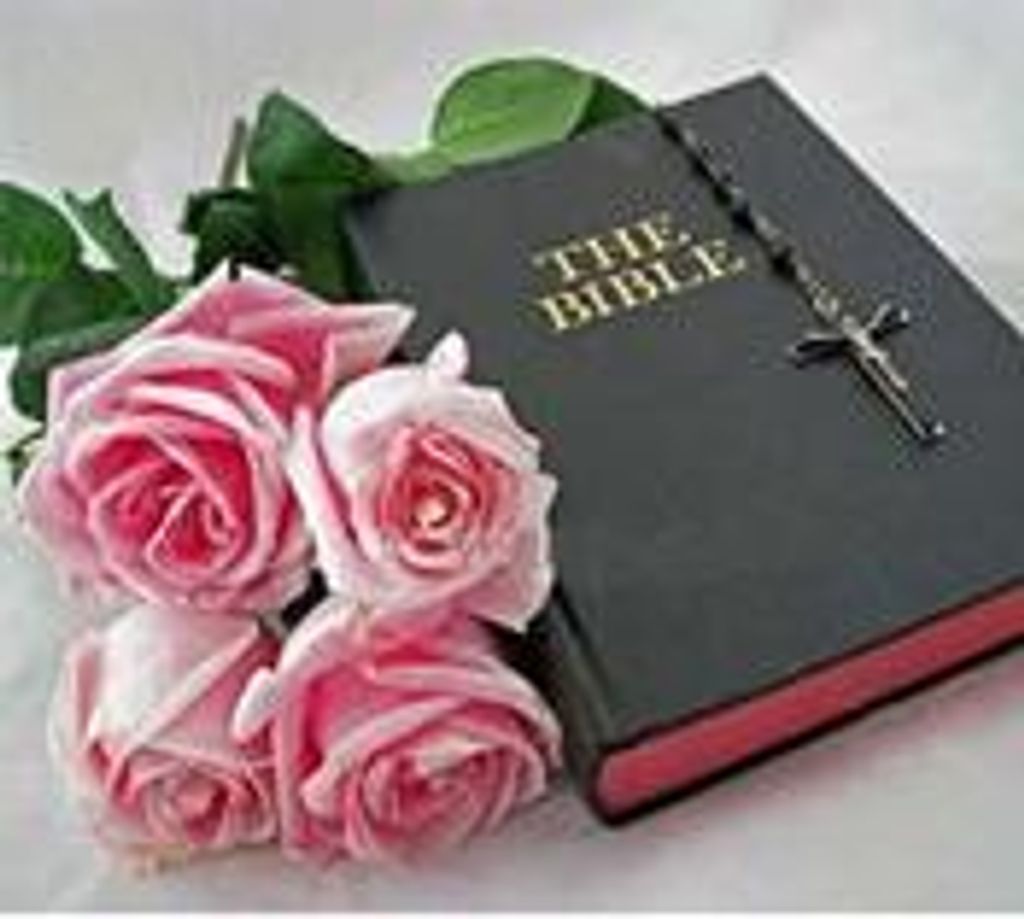 Theresa Haffner Profile Photo