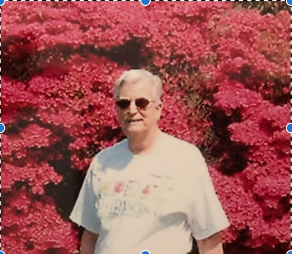 Jeanne Elizabeth Meyn