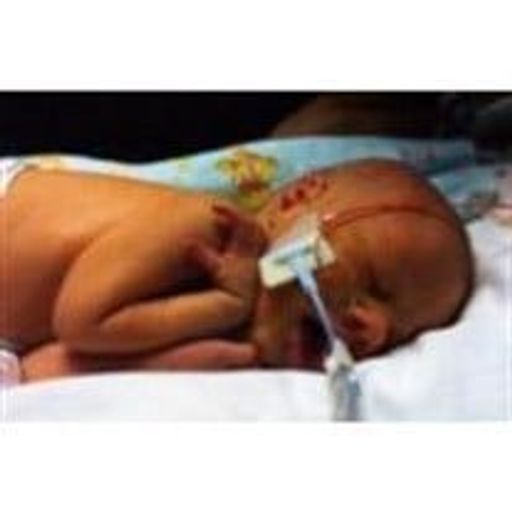 Abigail Rose Homstad Profile Photo