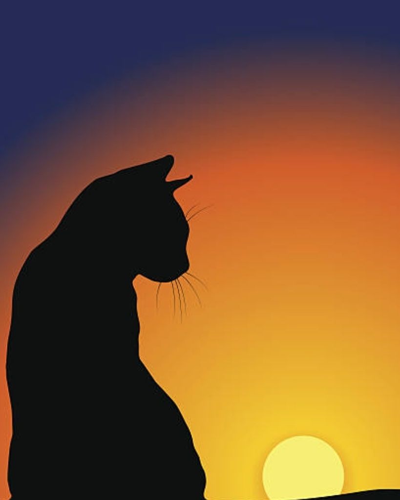 Lucky Kitty Profile Photo