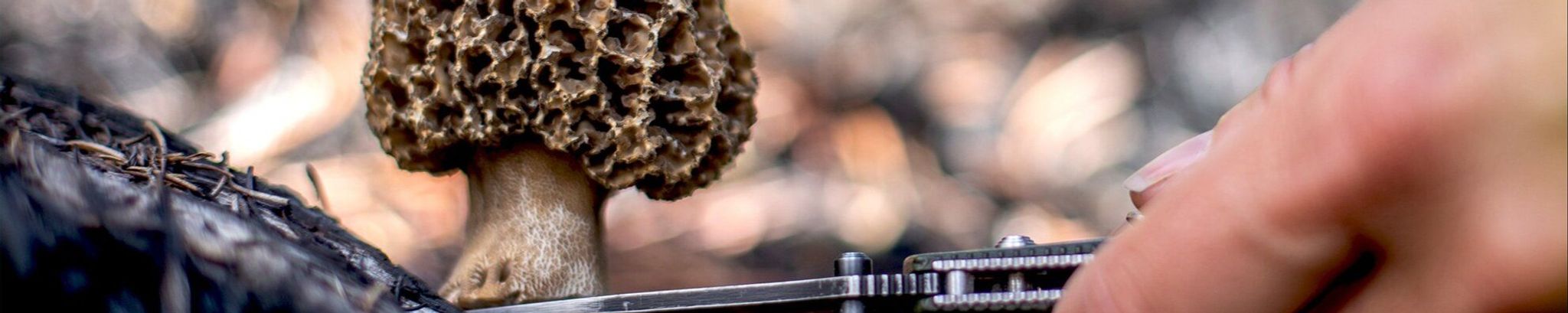 Cover for William D. Berry's Obituary