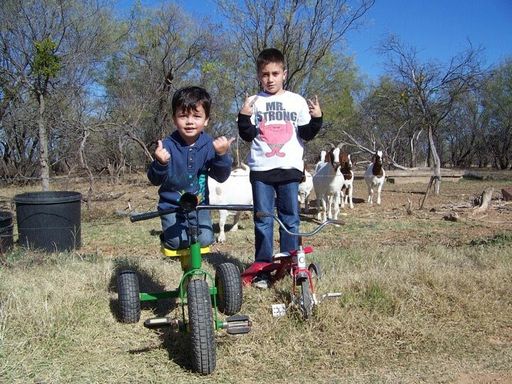 Alejandro Xavier Villarreal-Mathes photo gallery thumbnail 11 of 82