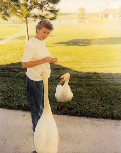 Dorothy "Dot" (Brasfield)  McClure photo gallery thumbnail 69 of 85