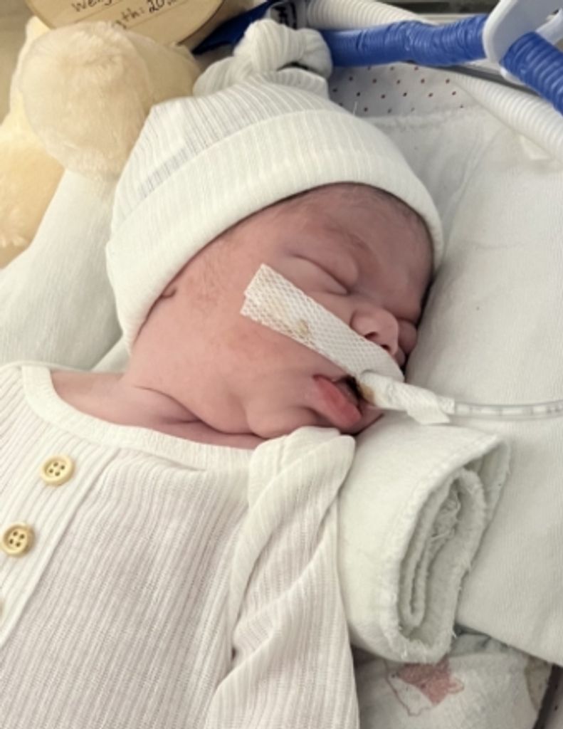 Serenity Rose Ann Marie Bice Profile Photo