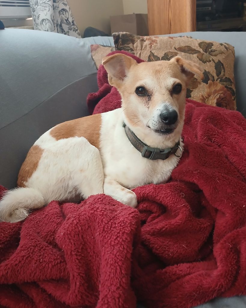 Princess Profile Photo