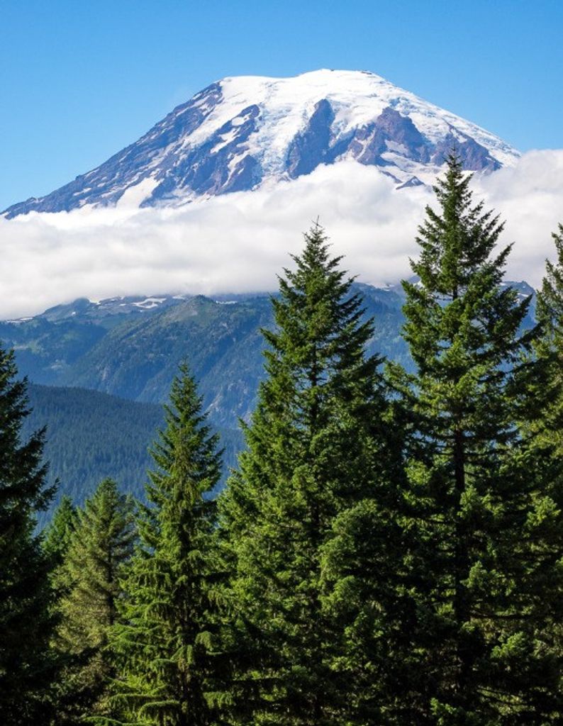 Steven Ross Penman Profile Photo