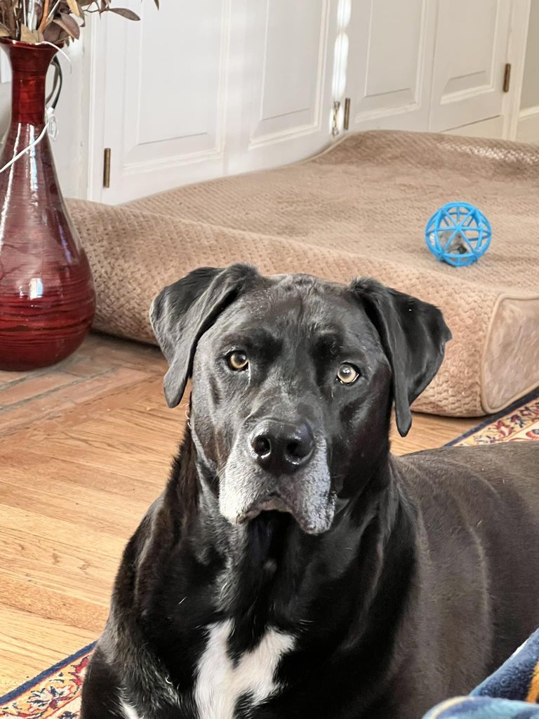 Bailey Profile Photo