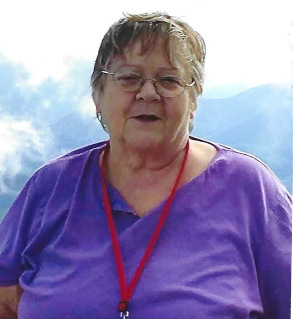 Donna Jean (Bartley)  Metzler Profile Photo