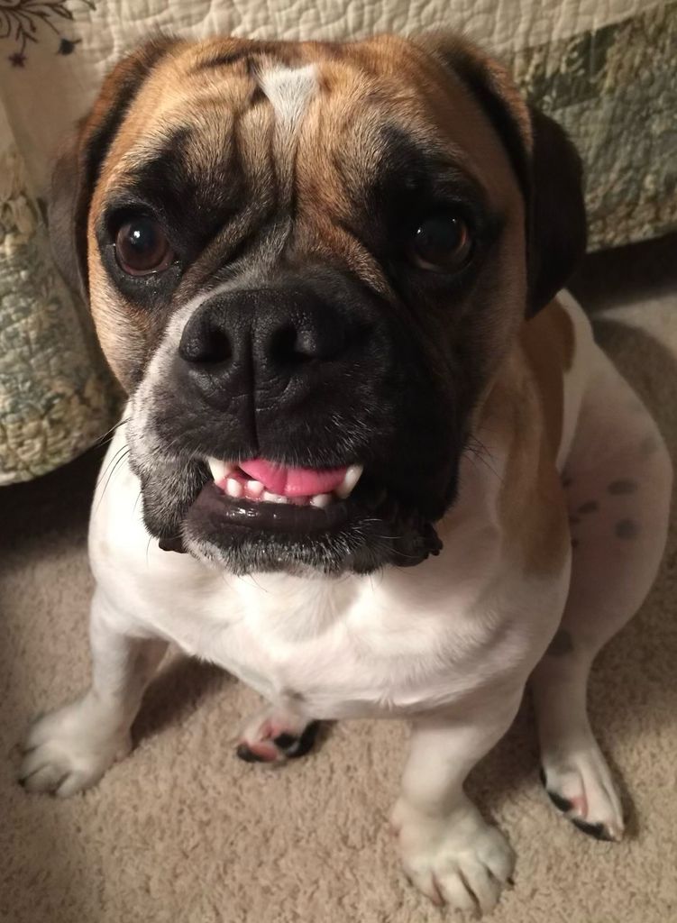 Oakley Profile Photo