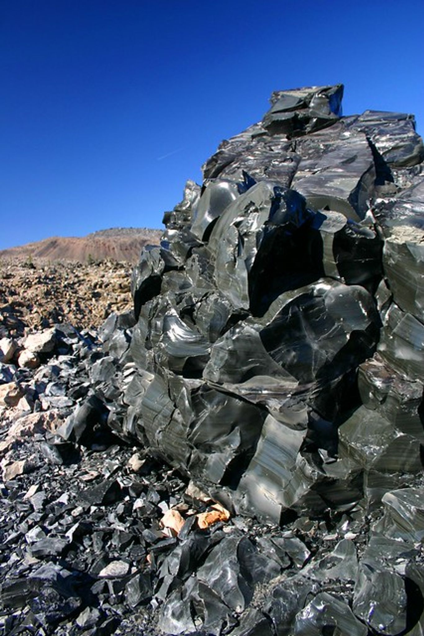 Cover for Anthony Michael Petty's Obituary