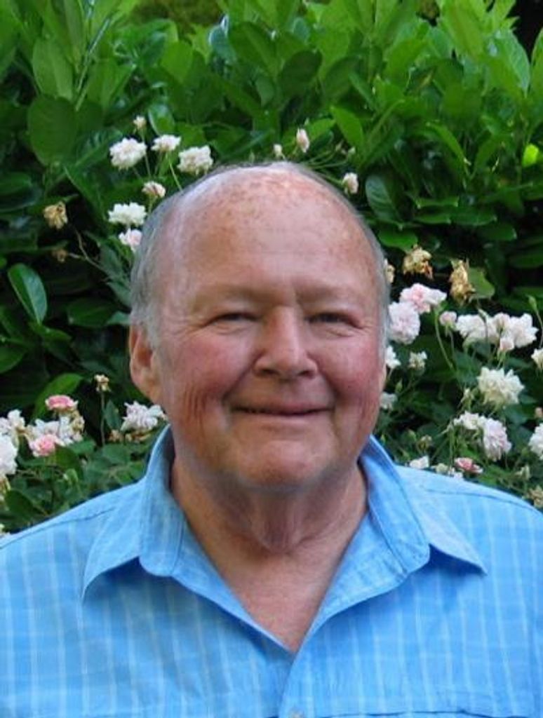 Michael Gerard Brandis
