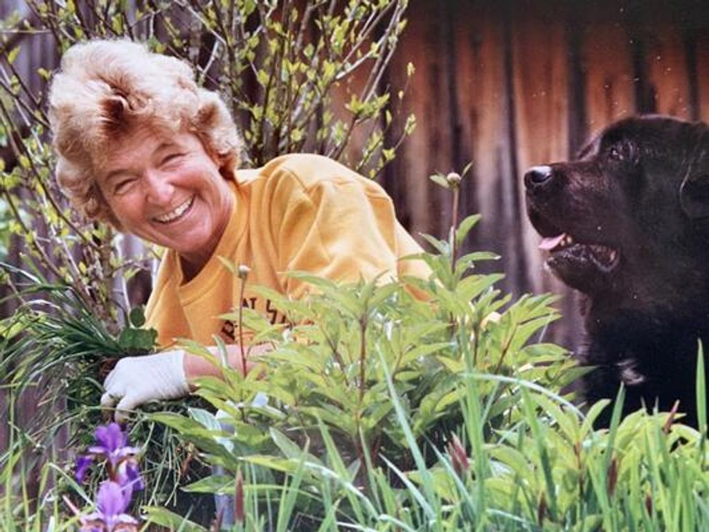 Georgia Ward Gillis Profile Photo