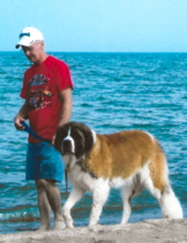 Theodore Allen Scheid