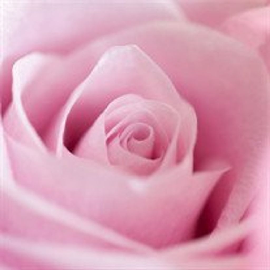 Billie  Jean Wareham Profile Photo