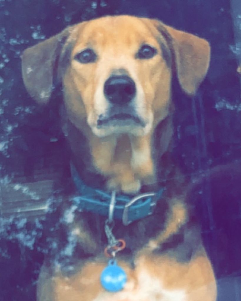 Leroy Henry Profile Photo